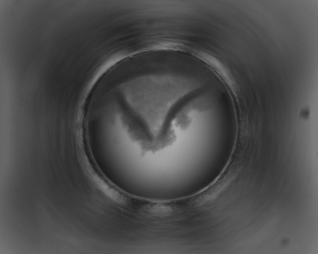 X0000102011235200807181220
