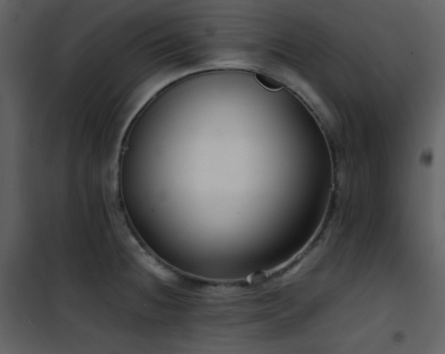 X0000102011236200807181220