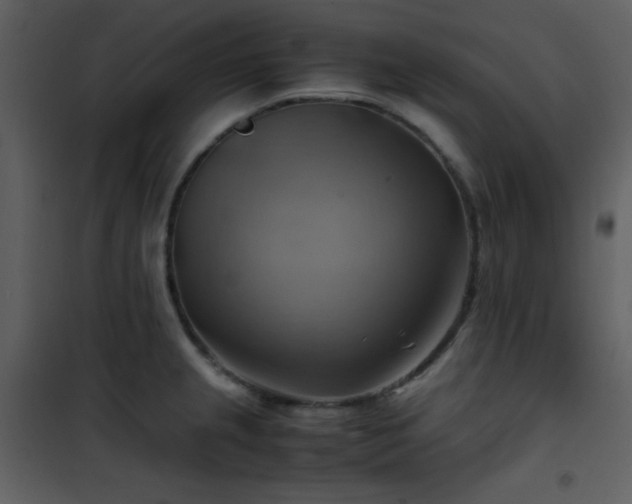 X0000102011237200807181220
