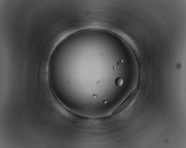 X0000102011238200807181220