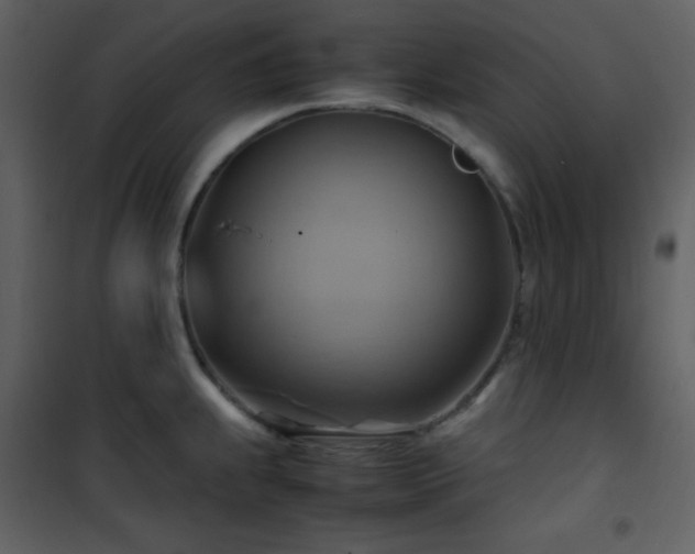 X0000102011239200807181220