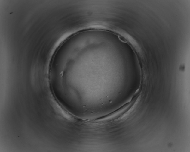 X0000102011240200807181220