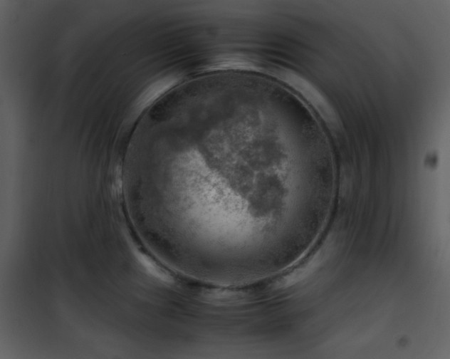 X0000102011241200807181220