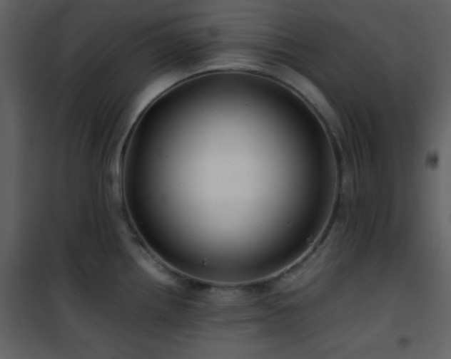 X0000102011242200807181221