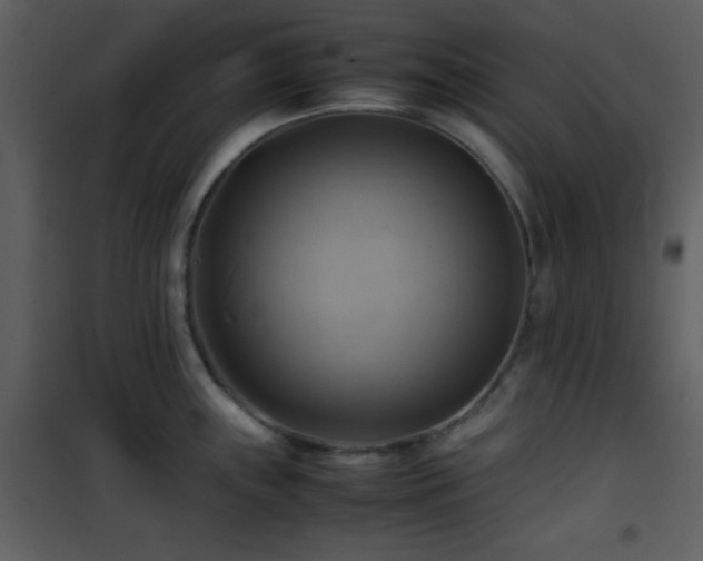 X0000102011243200807181221