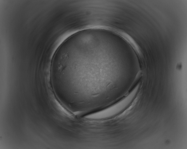 X0000102011244200807181221