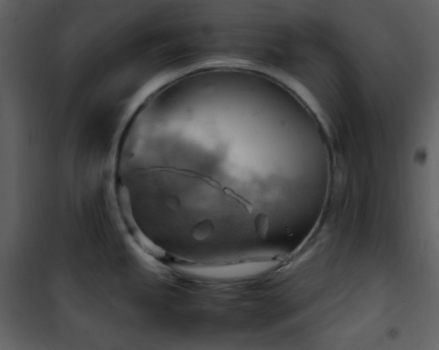 X0000102011245200807181221