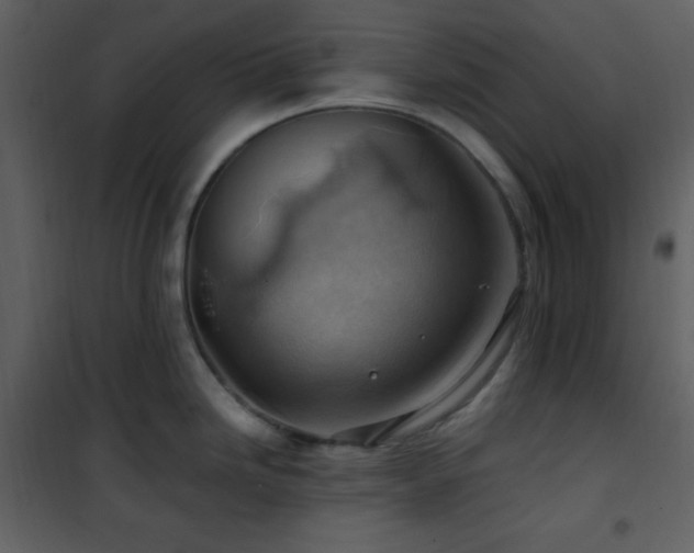 X0000102011246200807181221