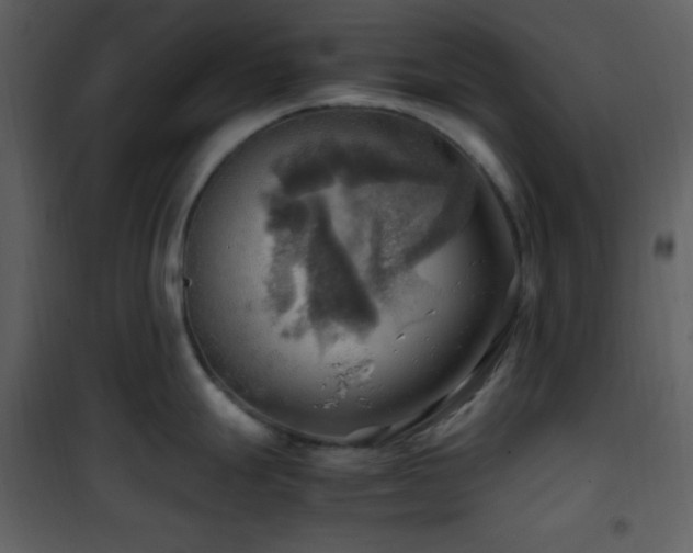 X0000102011247200807181221