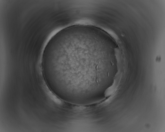 X0000102011248200807181221
