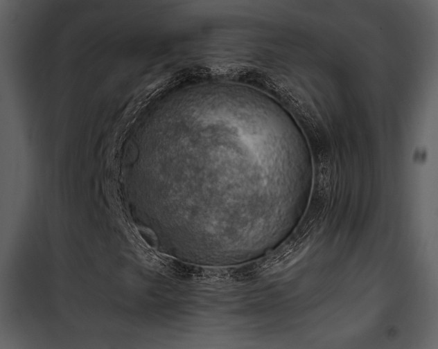 X0000102011249200807181220