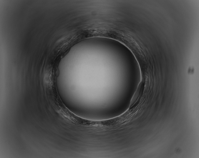 X0000102011250200807181220
