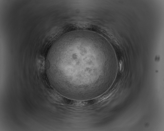 X0000102011251200807181220