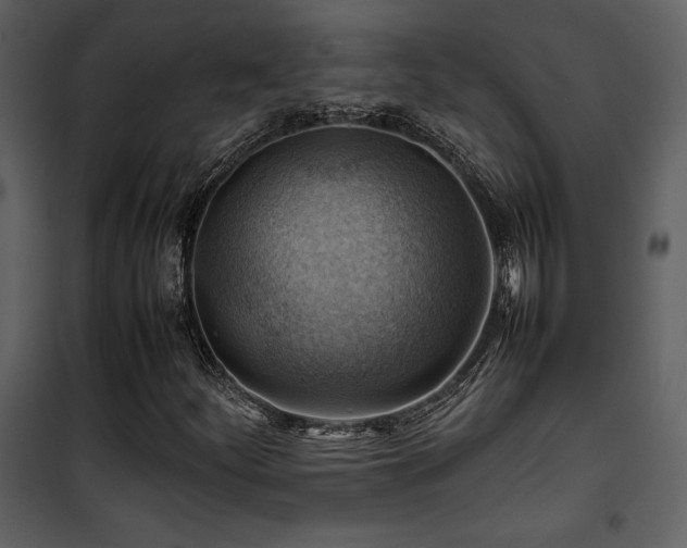 X0000102011252200807181220