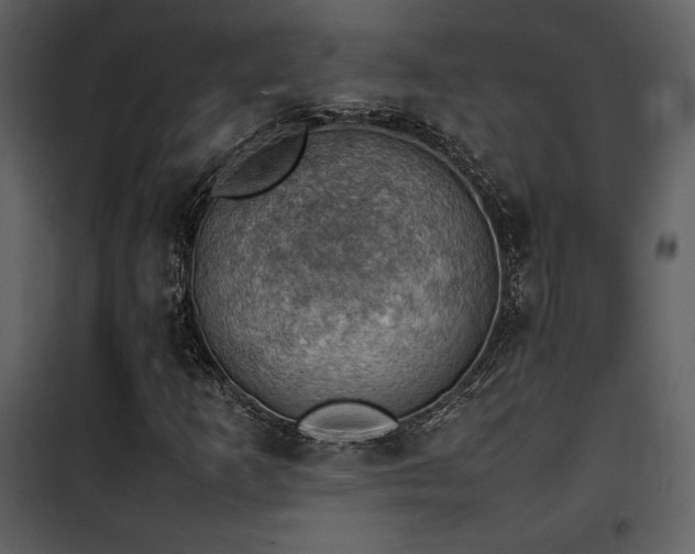 X0000102011253200807181220