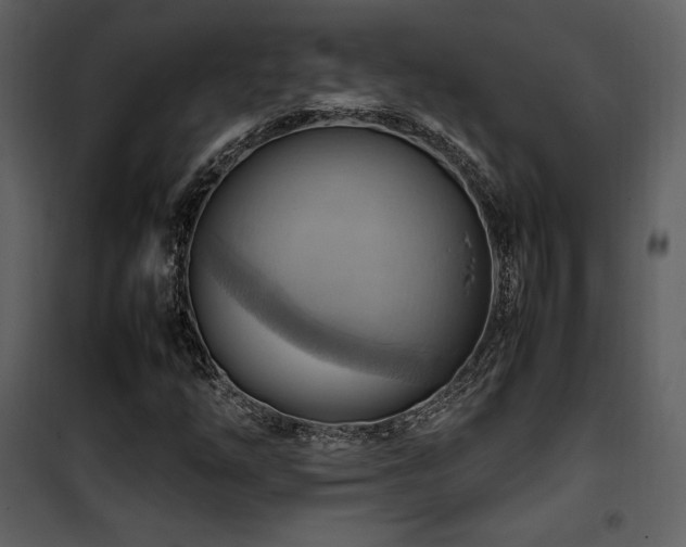 X0000102011254200807181220