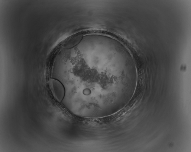 X0000102011255200807181220