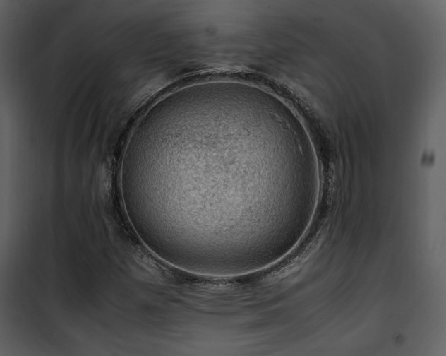 X0000102011257200807181220