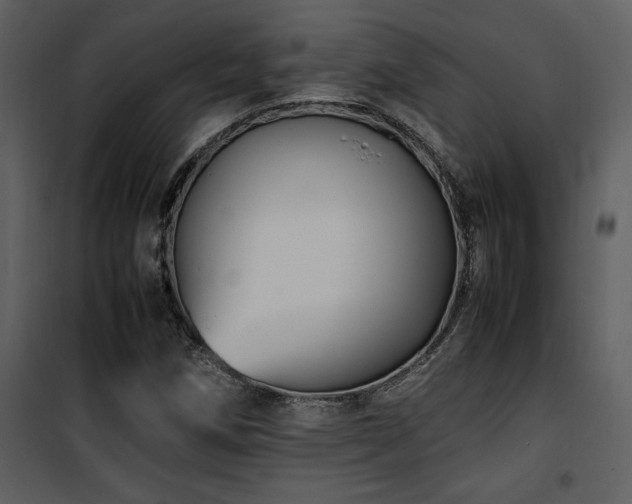 X0000102011258200807181220
