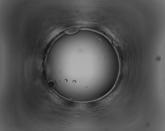 X0000102011259200807181220