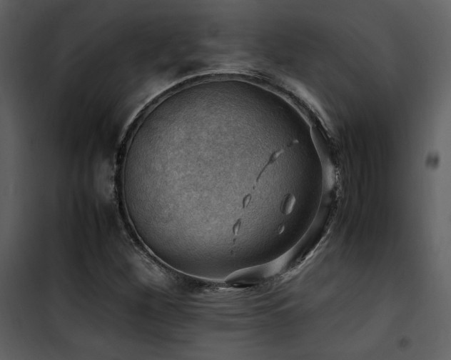 X0000102011260200807181220