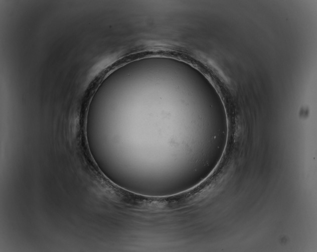 X0000102011261200807181220