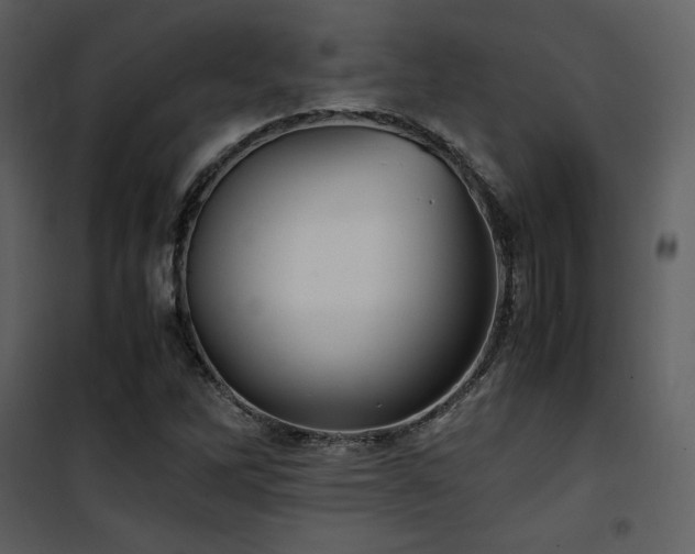 X0000102011262200807181220