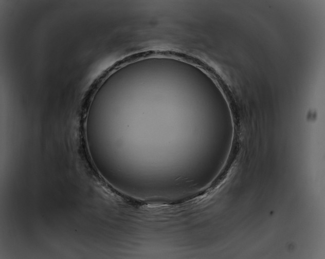 X0000102011263200807181220