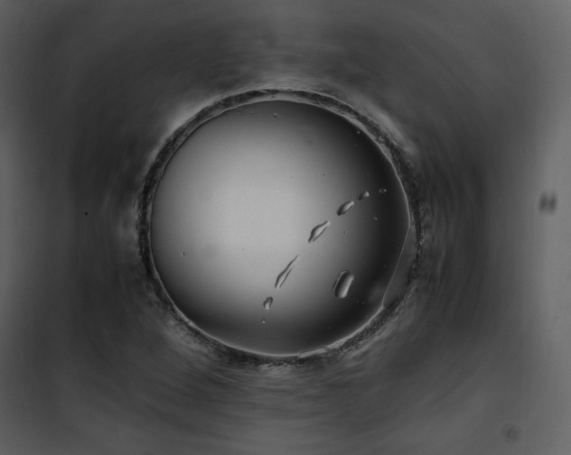 X0000102011264200807181220