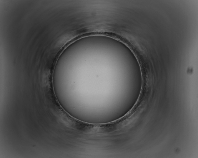 X0000102011265200807181220