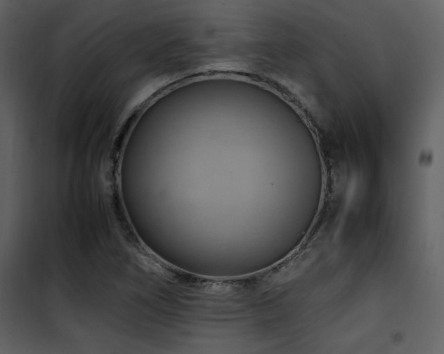 X0000102011266200807181220