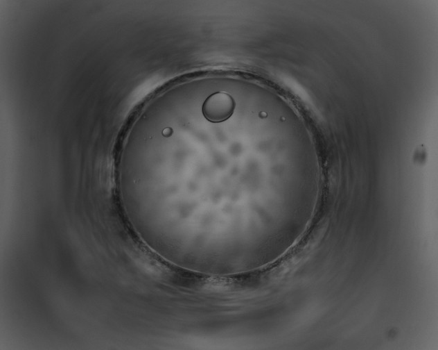 X0000102011267200807181220