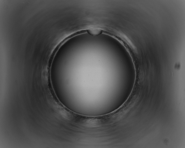 X0000102011268200807181220