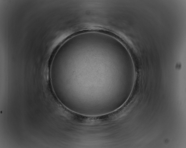 X0000102011269200807181220