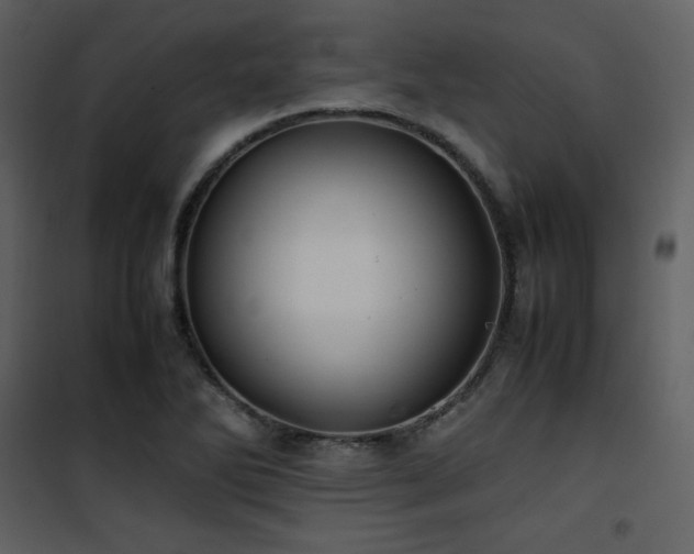 X0000102011270200807181220