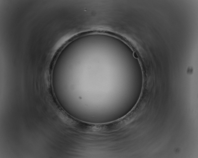 X0000102011271200807181220
