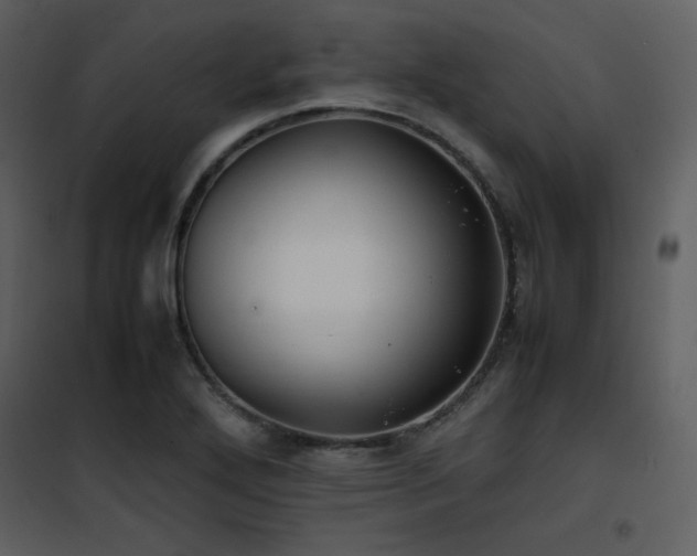 X0000102011272200807181220