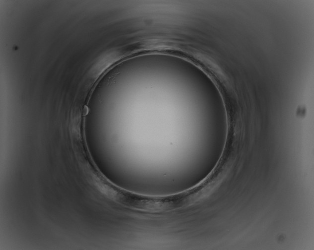 X0000102011273200807181219