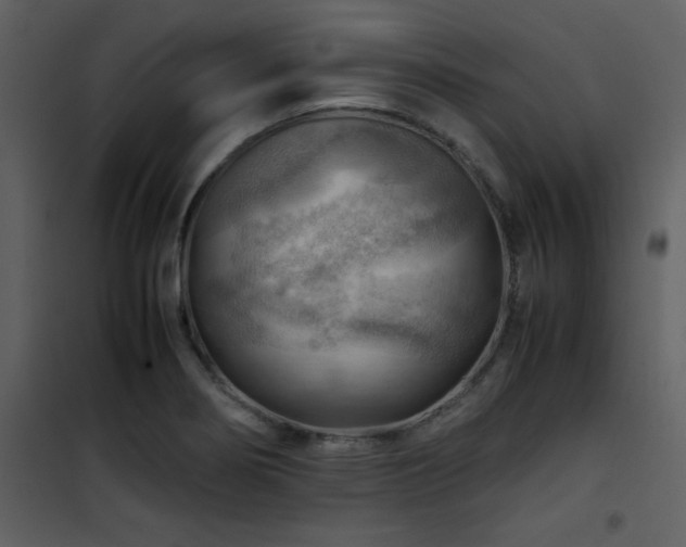 X0000102011274200807181219