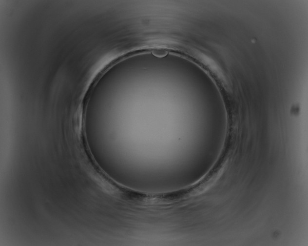 X0000102011275200807181219