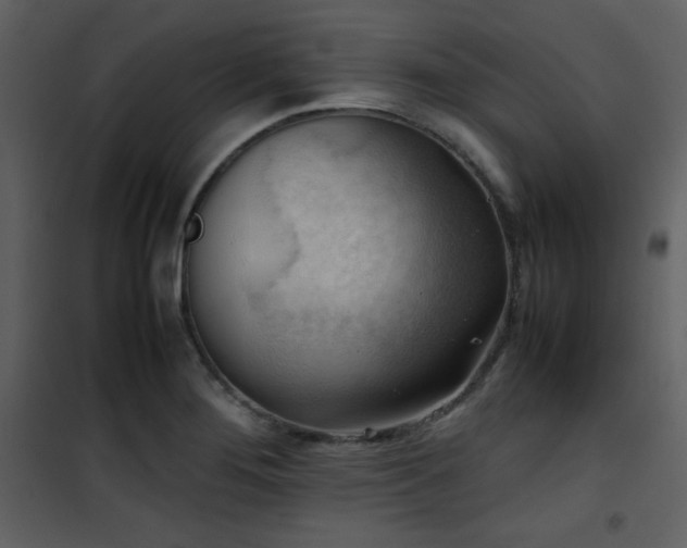 X0000102011276200807181219