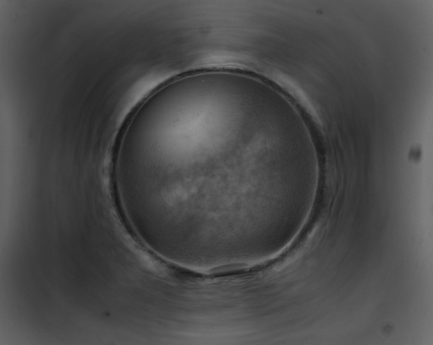 X0000102011277200807181219