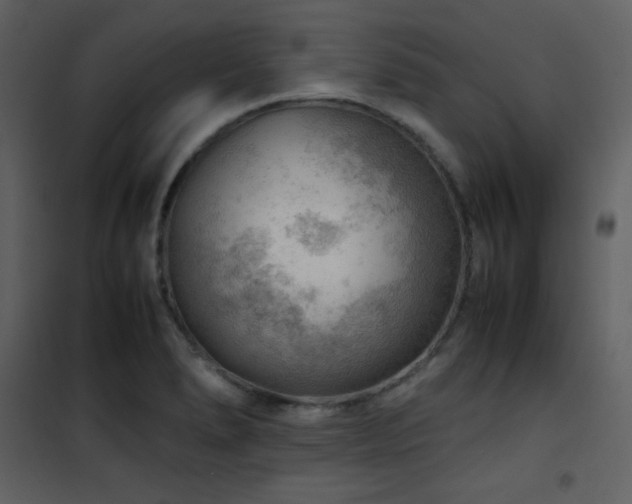 X0000102011278200807181219