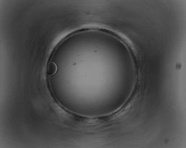 X0000102011279200807181219
