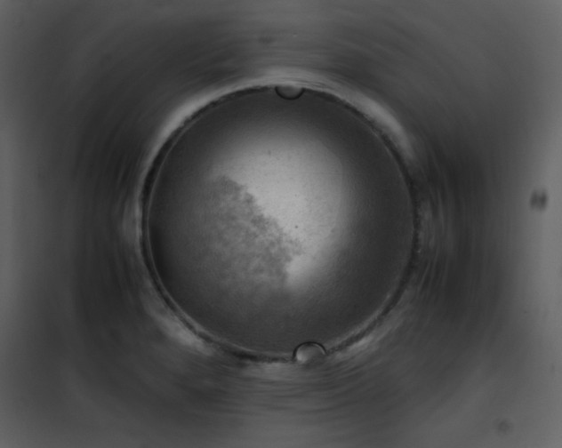 X0000102011280200807181219