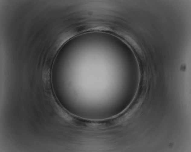 X0000102011281200807181219