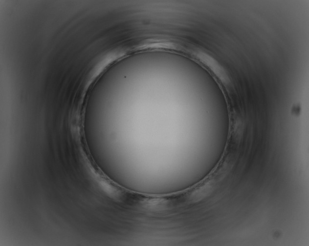 X0000102011282200807181219
