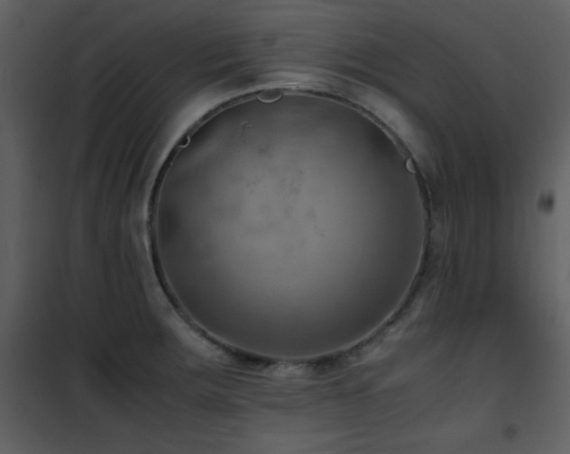 X0000102011283200807181219
