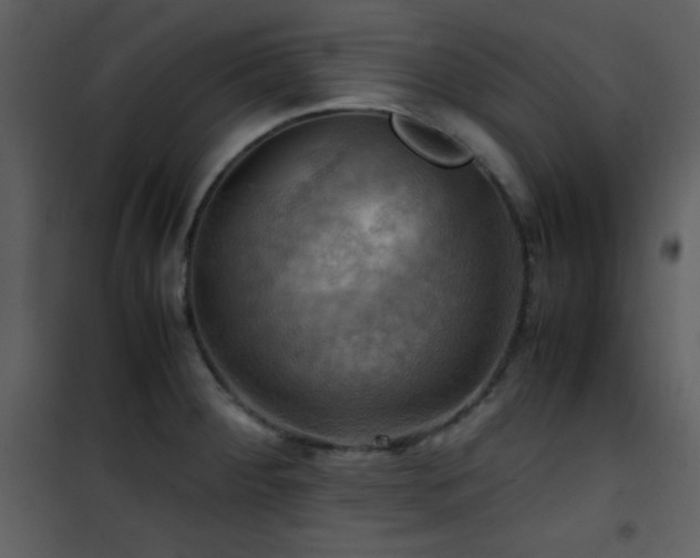 X0000102011284200807181219