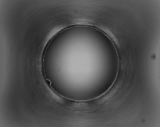 X0000102011285200807181219